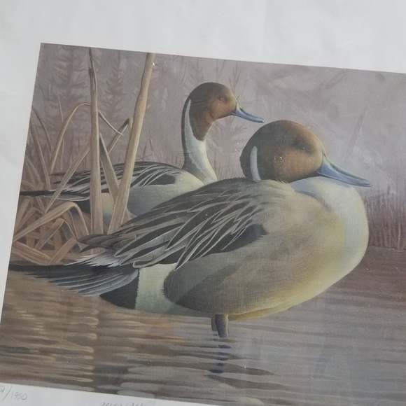 2012 Wisconsin Ducks Unlimited Sponsor signed & numbered Print with stamp - Picture 2 of 7